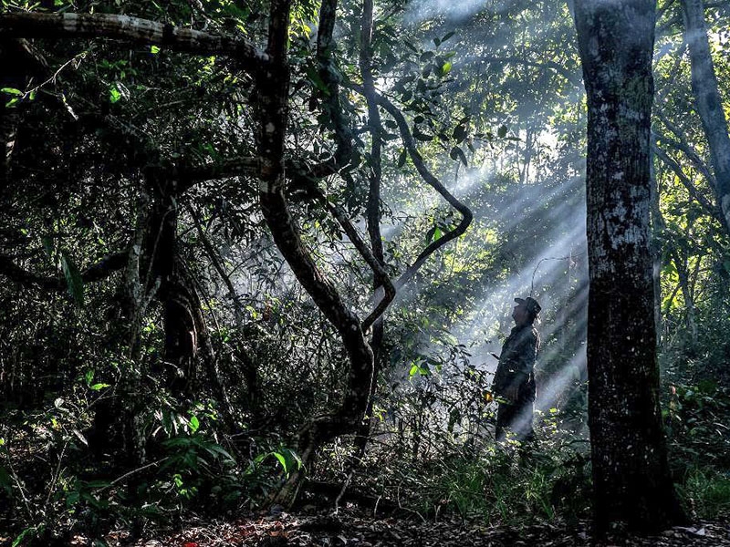 GCF realiza reuni�o de transi��o com governadores da Amaz�nia Legal 