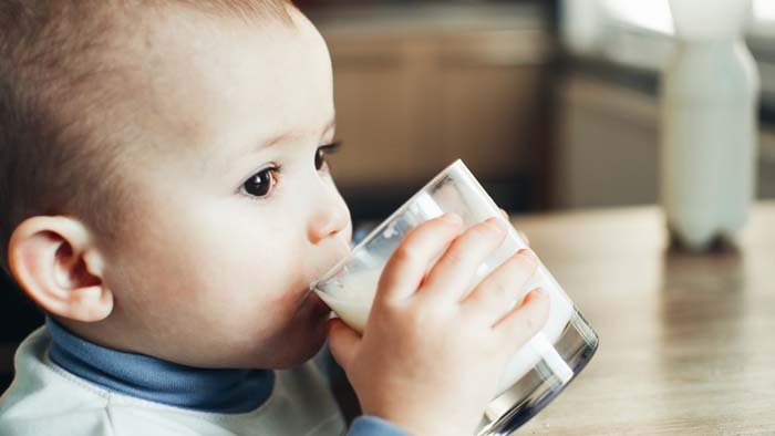 MS ofertar� f�rmulas alimentares a crian�as com alergia ao leite