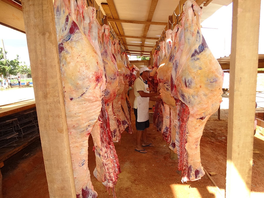  Propriet�ria de supermercado � presa por vender carne impr�pria para o consumo humano