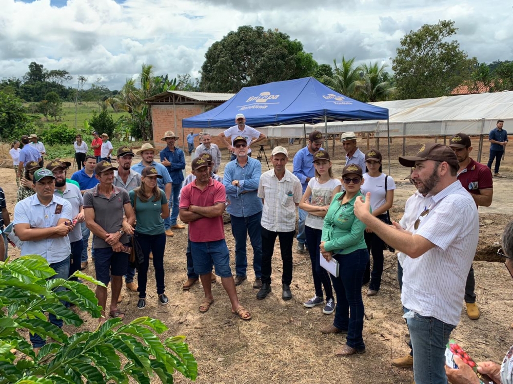 Presidente da Cooperativa Sicredi Univales MT/RO participa de Dia de Campo do Caf� em Cacoal.