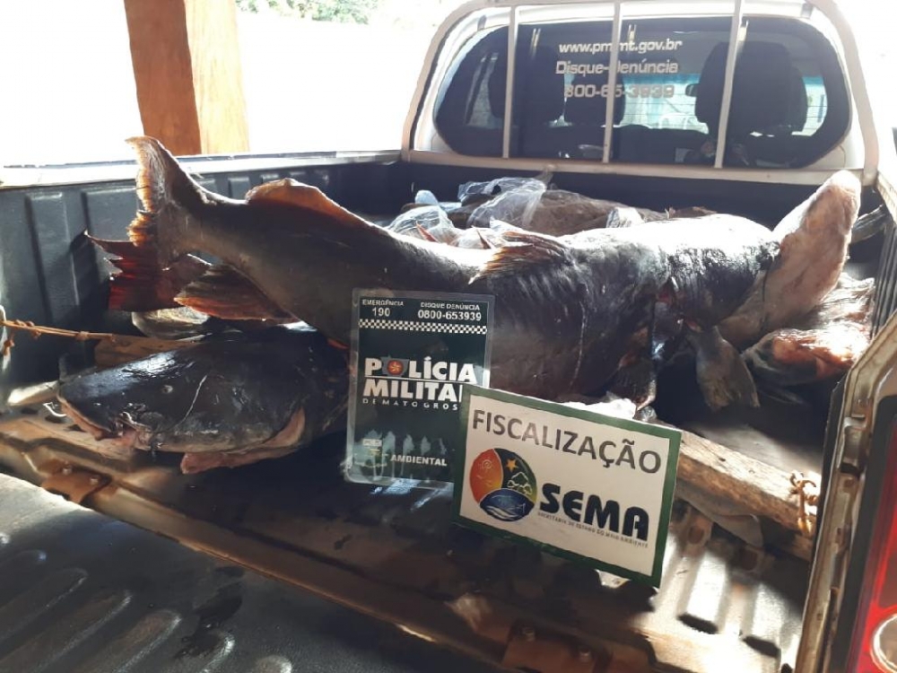 Sema apreende mais de 200 kg de pescado e apetrechos de pesca ilegal
