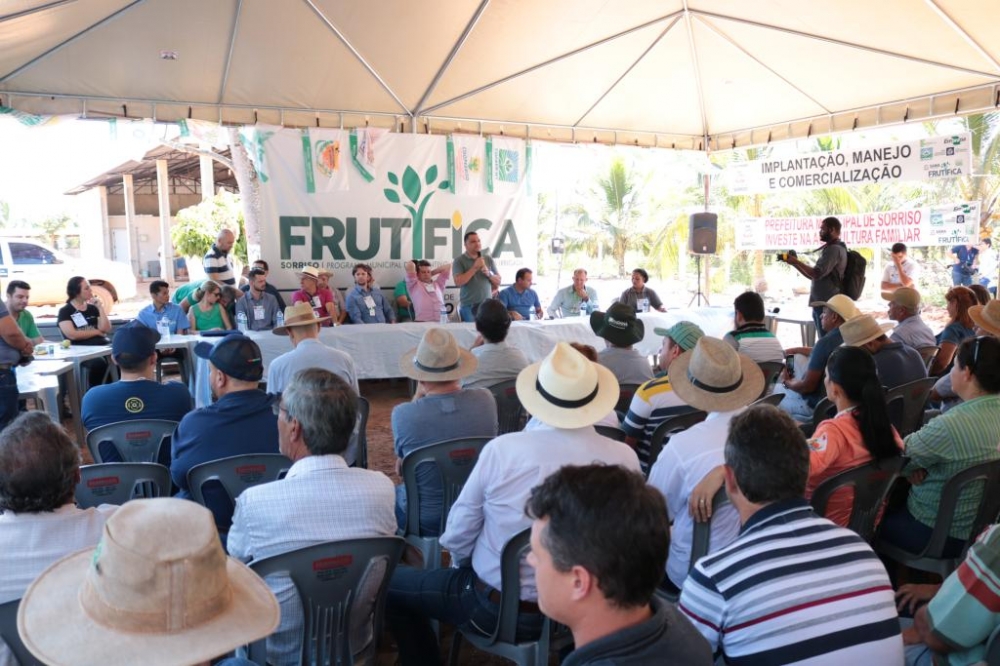 Cooperativismo alavanca produ��o e conquista com�rcio em Sorriso