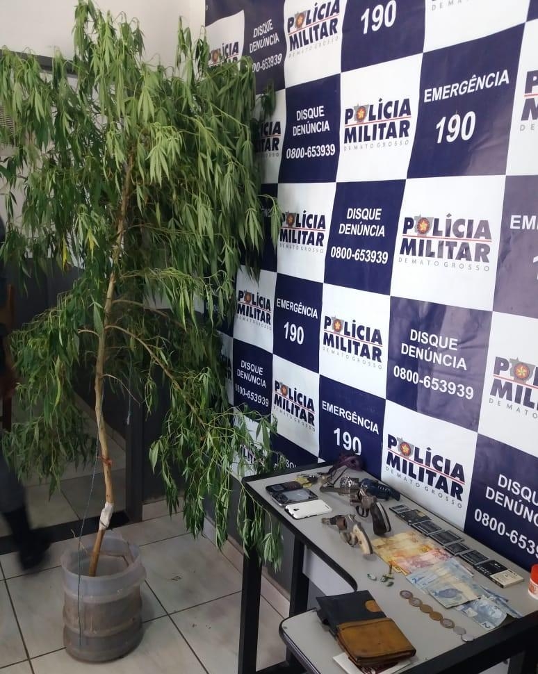 Suspeitos s�o detidos com p� de maconha, armas de fogo e drogas