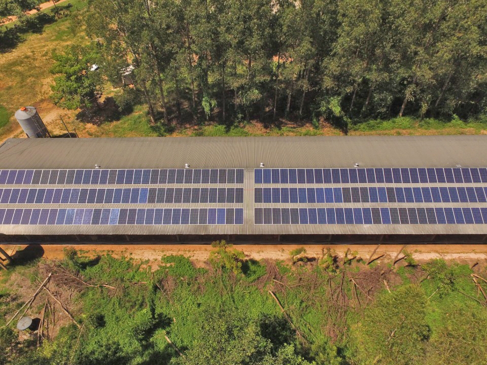 Sustentabilidade e economia Sicredi libera R$ 40,6 milh�es em cr�dito para projetos de energia solar