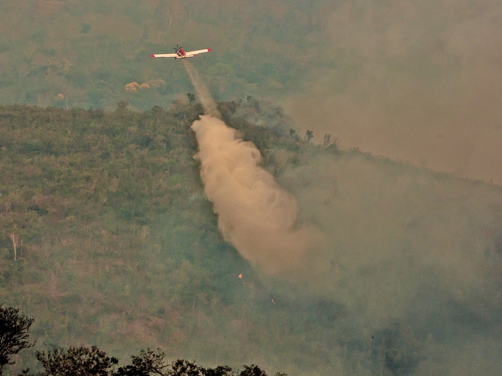 Pecuarista deve ficar atento ao per�odo proibitivo para as queimadas em Mato Grosso