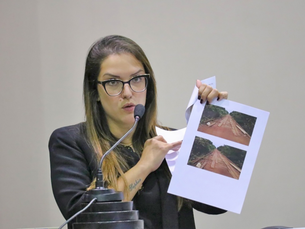Deputada vai � Bras�lia debater com o Incra infraestrutura de Assentamentos de MT