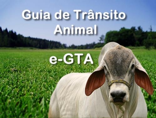 Indea amplia emiss�o de e-GTA para produtores e veterin�rios