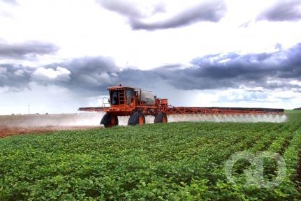 Mato Grosso aumenta em 2% a �rea plantada de gr�os.