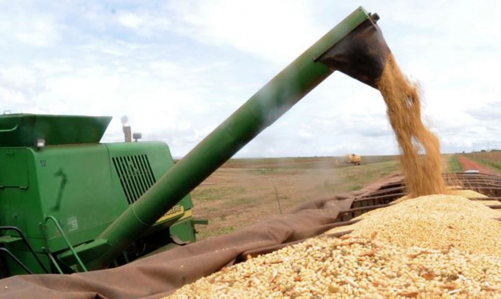 Ipea prev� crescimento maior do PIB do setor agropecu�rio
