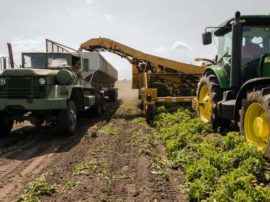 Exporta��es agropecu�rias registram aumento de 17,5% em 2020