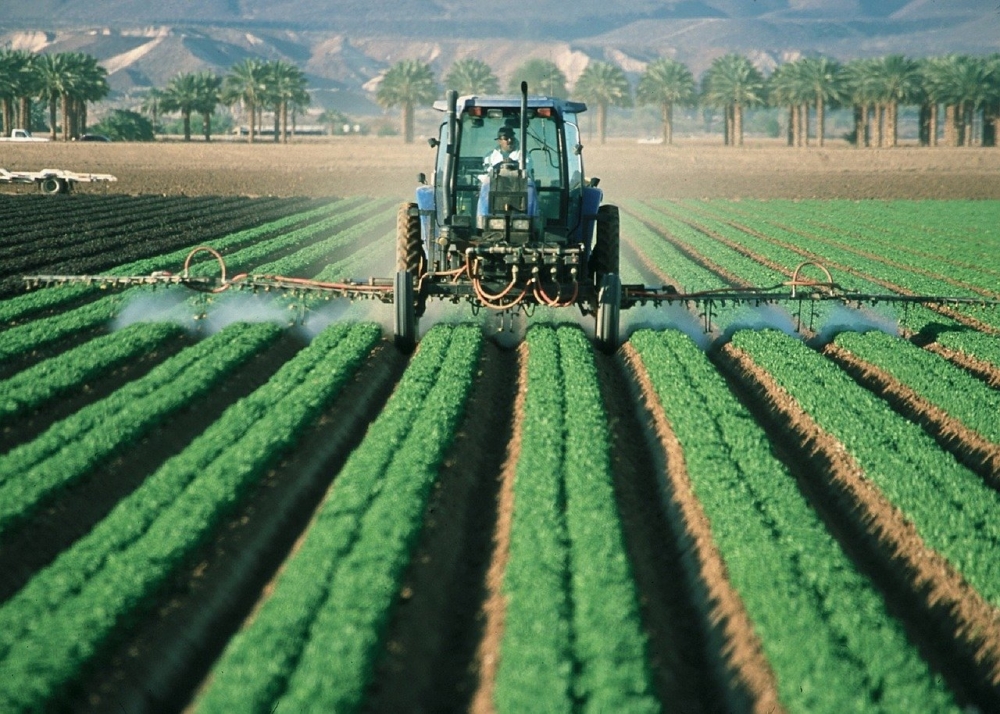 Segundo Carlos Cesar Floriano, exporta��es do Agro em maio somam US$ 10,9 bilh�es