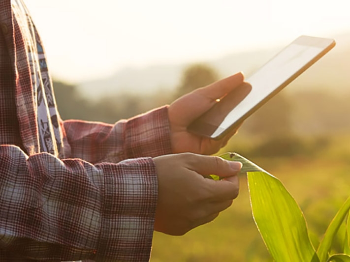 Carlos C�sar Floriano comenta agricultura digital
