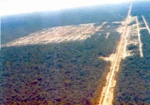 S�rie: MT ? Um estrat�gico corredor nacional