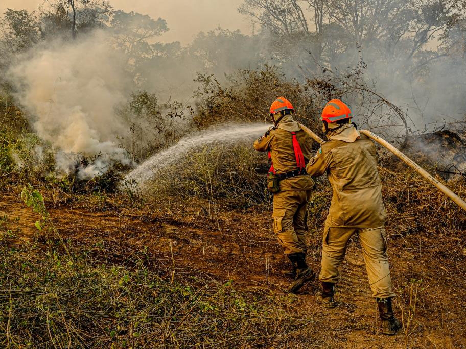 Per�cia constata que inc�ndio em reserva no Pantanal foi provocado por a��o humana