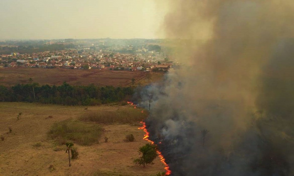 Parlamentares visitam �reas queimadas no Pantanal