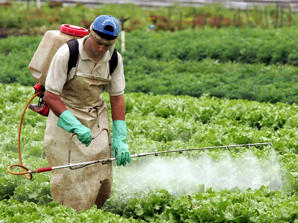 Carlos C�sar Floriano explica defensivos agr�colas