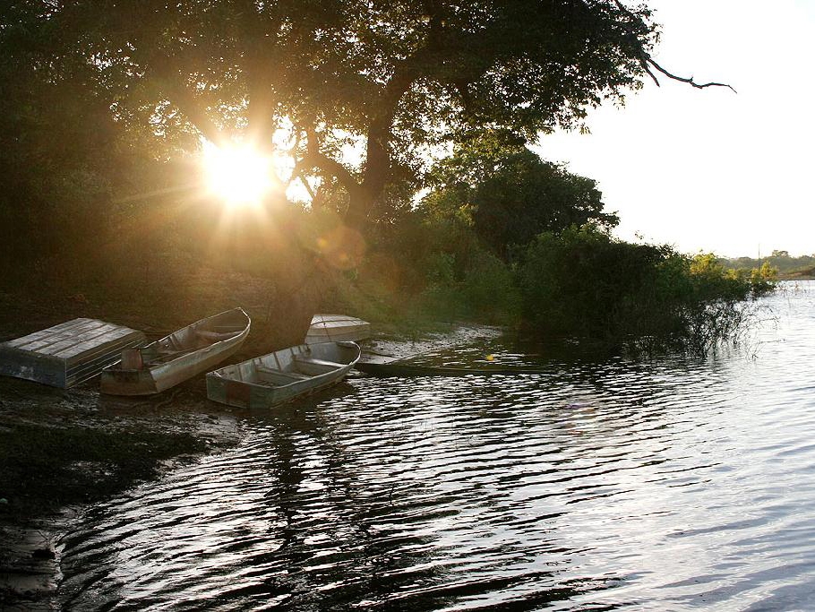 Piracema come�a nesta quinta-feira (01) nos rios de Mato Grosso