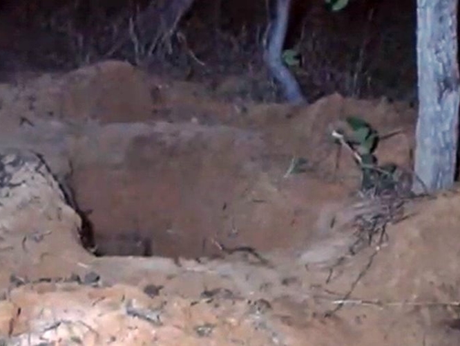 Homem � preso ap�s matar ex-esposa e enterrar o corpo em Itiquira MT