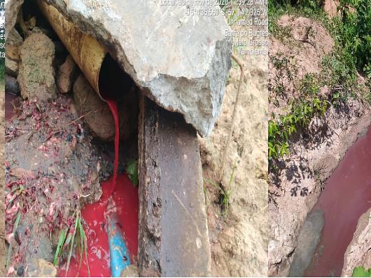 Batalh�o Ambiental identifica crime ambiental em �rea de abate de frigor�fico de Barra do Bugres. Multas chegam a R$ 500  mil