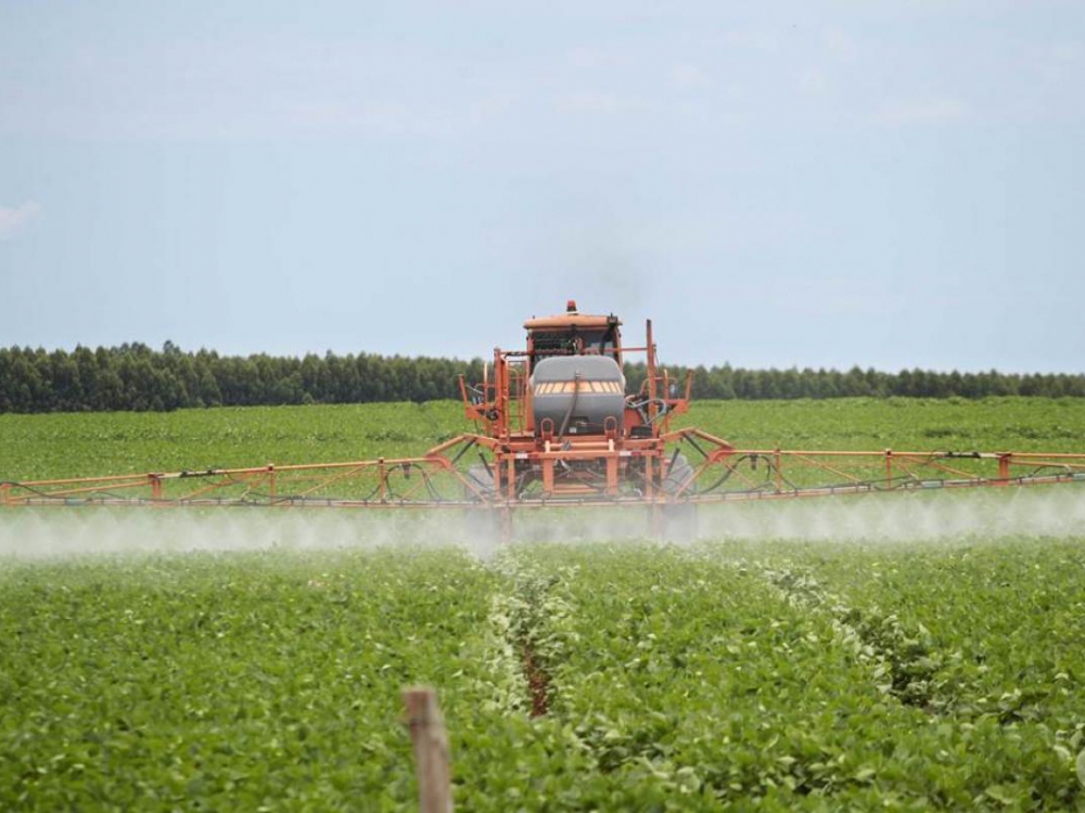 Mato Grosso tem 4 dos 5 maiores produtores do Brasil. Um deles � produtor em Juara