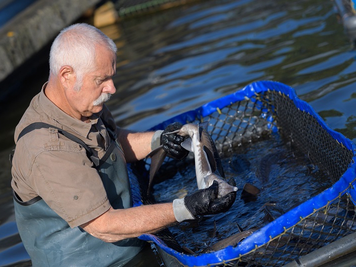 Carlos C�sar Floriano explica regras para aquicultores cession�rios