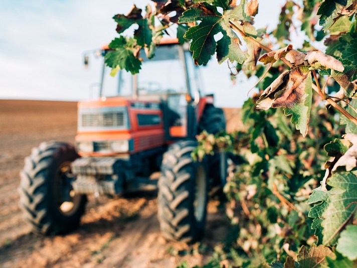 Agro abre 212 vagas em Sinop com sal�rios de R$ 5,5 mil 