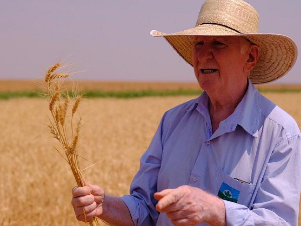 Pesquisador despede-se da Empaer ap�s 49 anos com relat�rio sobre o cultivo do trigo em MT