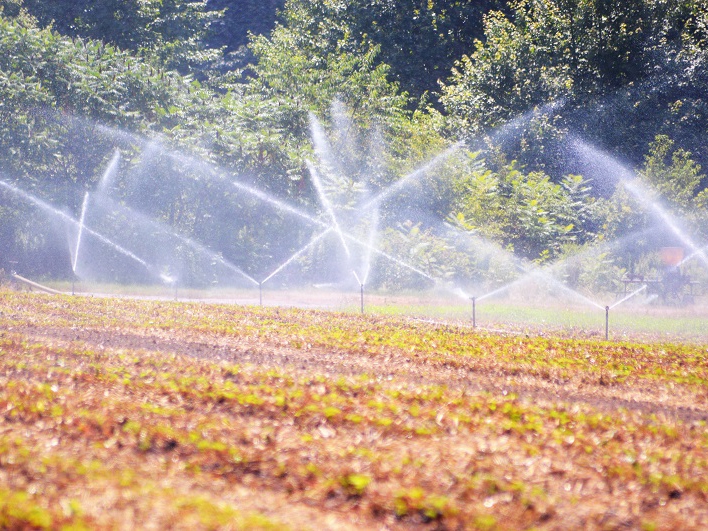 Carlos C�sar Floriano comemora crescimento agropecu�rio em 2020