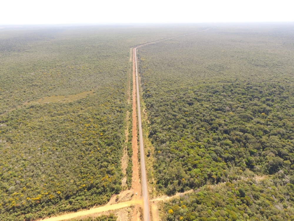 Propriet�ria toma posse de im�vel rural de R$1 bi ap�s 20 anos em Brasnorte