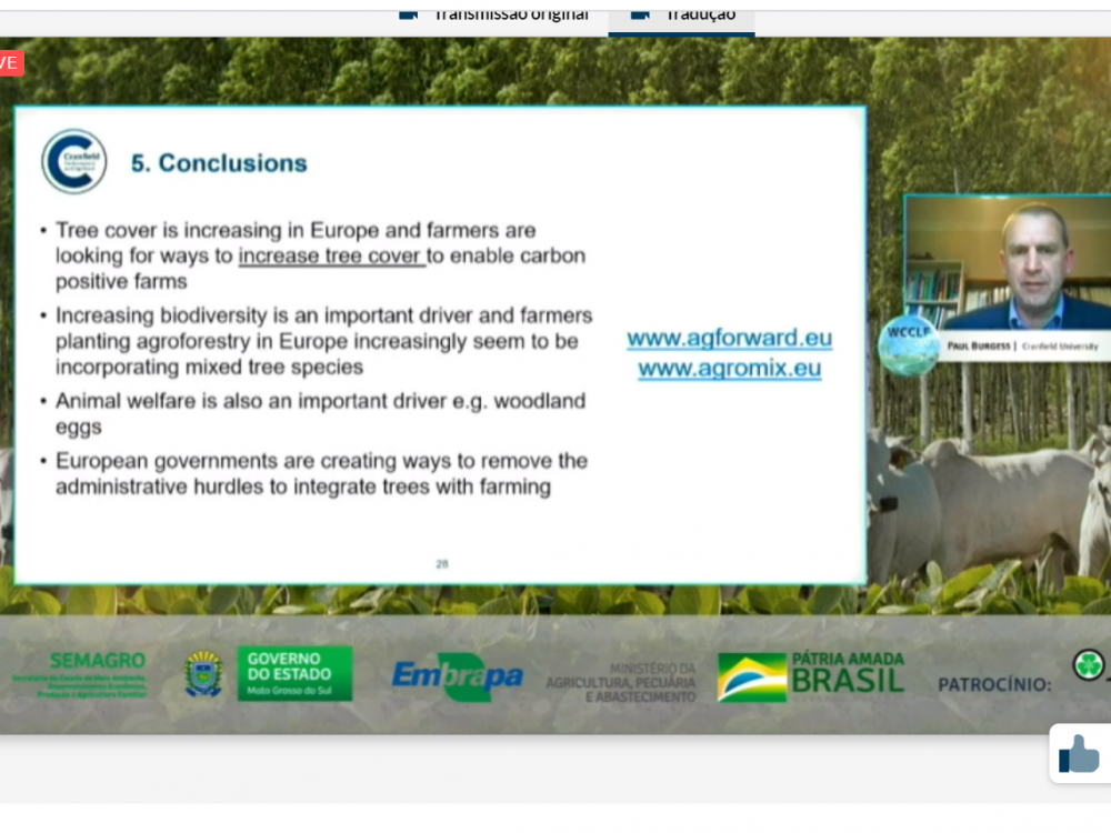 Necessidade de redu��o das emiss�es de carbono alavanca sistemas ILPF no mundo