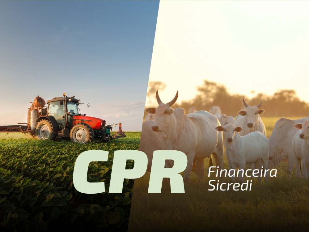 Sicredi disponibiliza CPR para produtores rurais de Mato Grosso e Rond�nia; saiba como acessar esses recursos