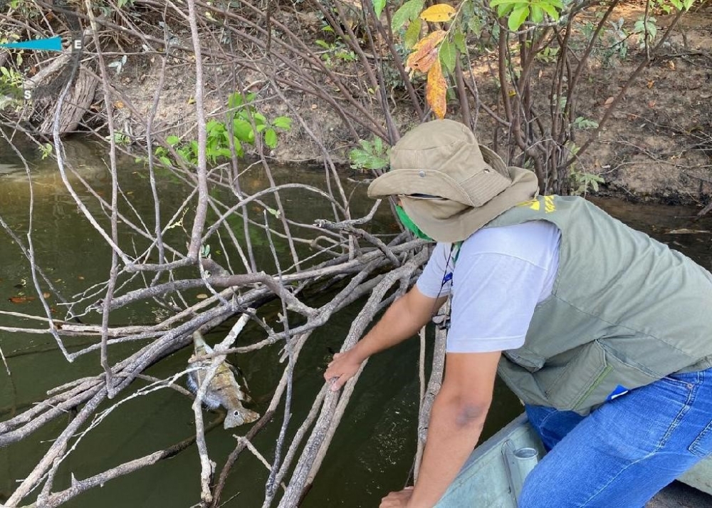 Sema-MT vistoria Rio Aripuan� ap�s den�ncia de mortandade de peixes