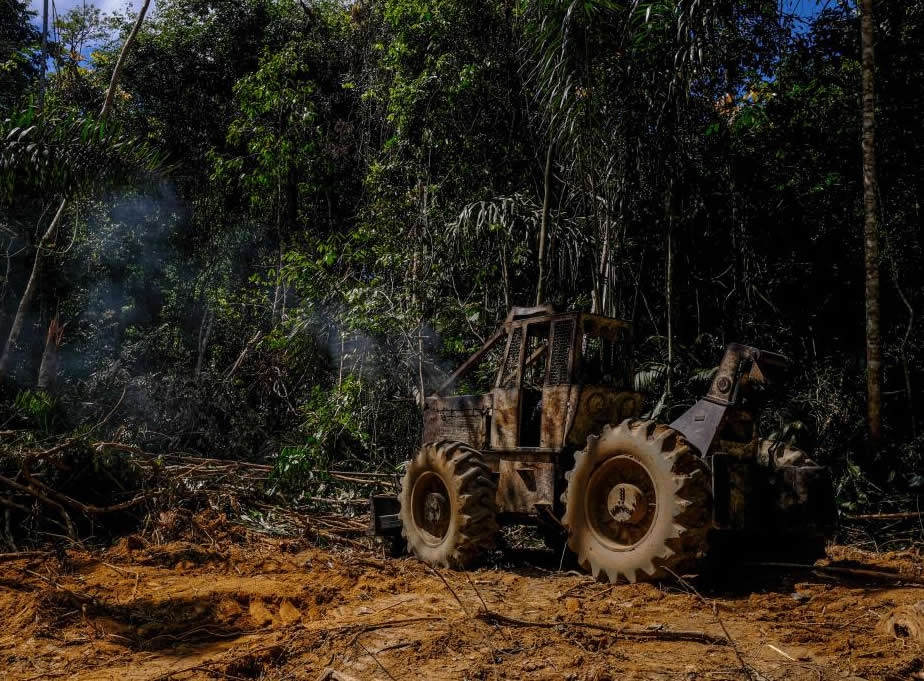 Governador lan�a mais uma etapa da Opera��o Amaz�nia contra crimes ambientais