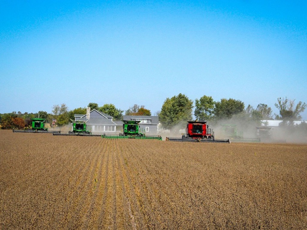 Exporta��o do Agroneg�cio tem novo recorde em junho segundo Carlos Cesar Floriano