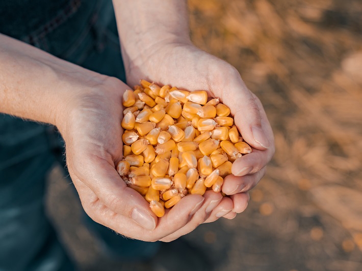 Queda de produtividade no agroneg�cio � analisada por Carlos C�sar Floriano