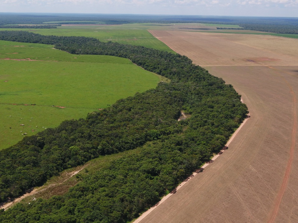 Bom Futuro emprega tecnologia para cuidar de �rea ambiental de 98 mil hectares 