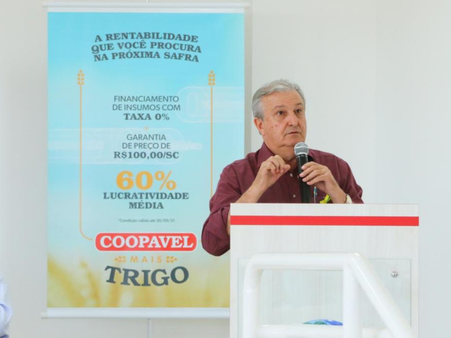 Coopavel Mais Trigo tem diferenciais in�ditos para fortalecer a triticultura