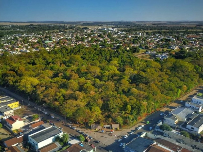 Crian�a de 9 anos � atacada por quati em parque em Tangar� da Serra - MT, diz av�