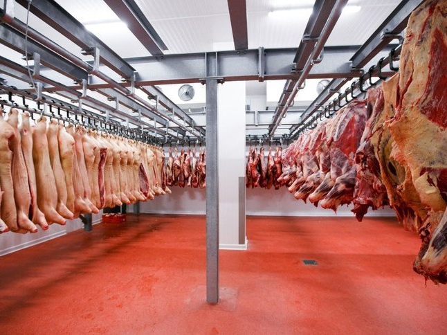 Agricultura confirma 2 casos de vaca louca e suspende exporta��o para a China