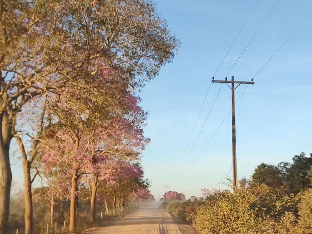 Produtores rurais que recebem desconto da Tarifa Rural devem renovar o cadastro na Energisa 