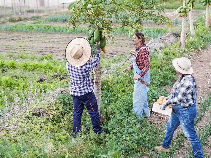 Carlos C�sar Floriano apresenta edital para Assist�ncia T�cnica da Agricultura Familiar