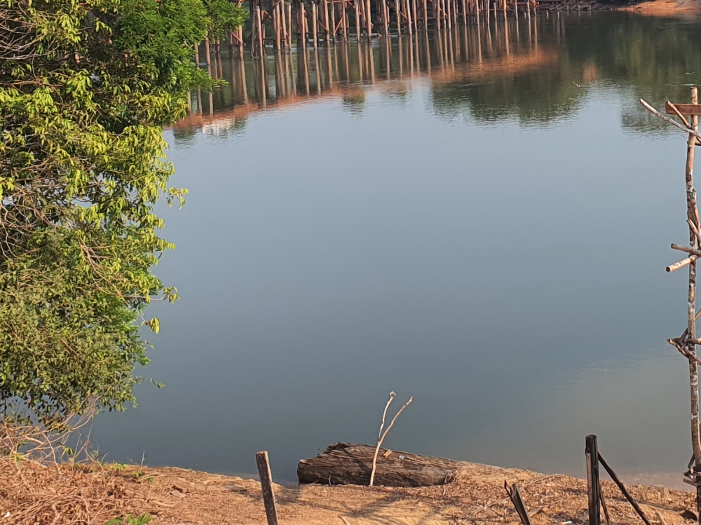 Estabelecimentos e pescadores devem declarar estoque de pescado at� dia 4 de outubro