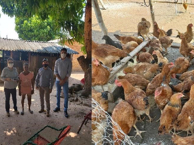 Produtores e ind�genas atendidos por programa de fomento comprovam aplica��o de recurso
