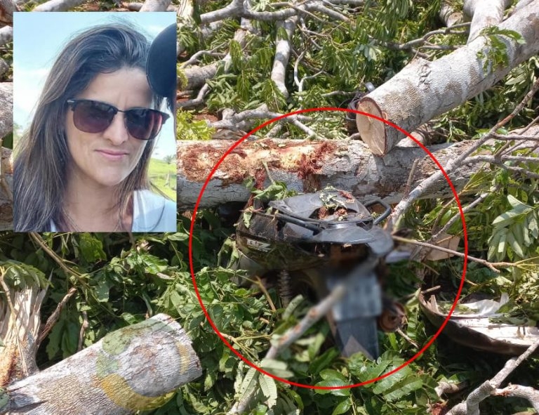 Urgente: Queda de �rvore provoca acidente fatal na �rea rural de Alta Floresta