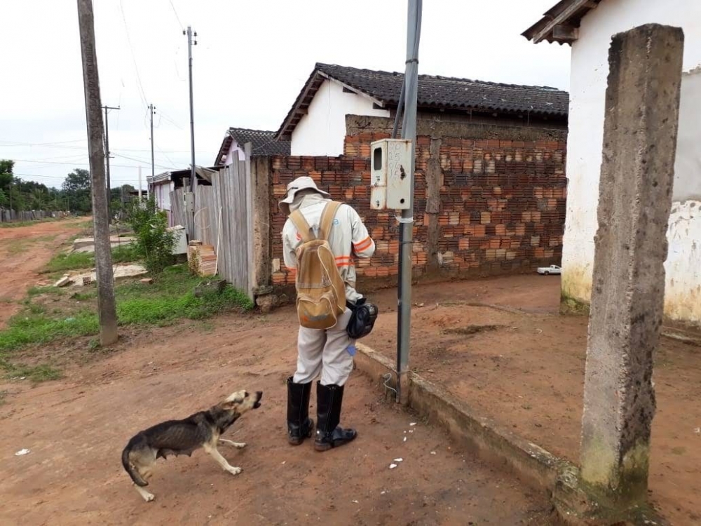 Energisa registra 1.300 alertas contra ataques de c�es em Mato Grosso em um m�s  