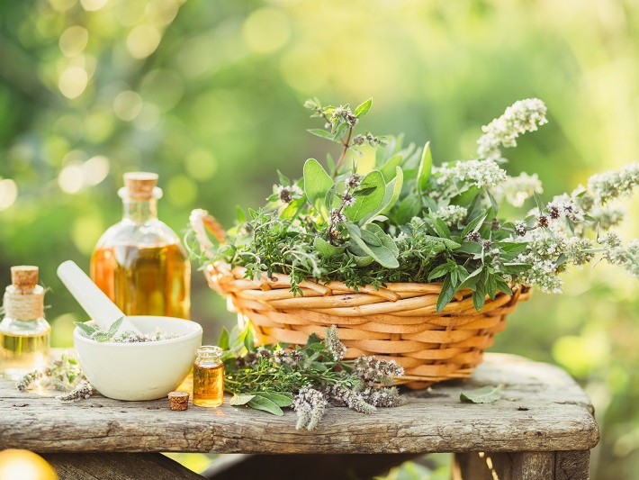 Chamada p�blica entre Brasil e Alemanha seleciona projetos de bioeconomia e � destacada por Carlos C�sar Floriano