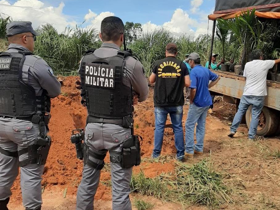 Indea alerta que venda ambulante de mudas e sementes amea�a a agricultura de MT