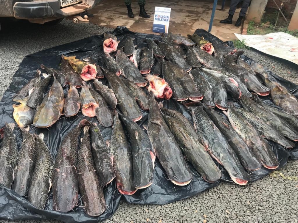 Duas pessoas s�o presas transportando 400 kg de pescado irregular em Barra do Bugres