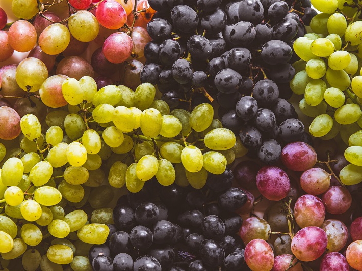 Carlos C�sar Floriano comenta o recorde hist�rico de exporta��es de frutas em 2021