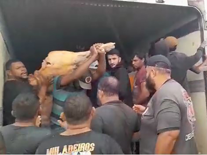 Carga de carne de mais de R$ 300 mil foi saqueada de caminh�o que capotou em Campo Novo do Parecis